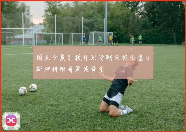 国米今夏引援计划清晰或将出售小斯坦科维奇筹集资金